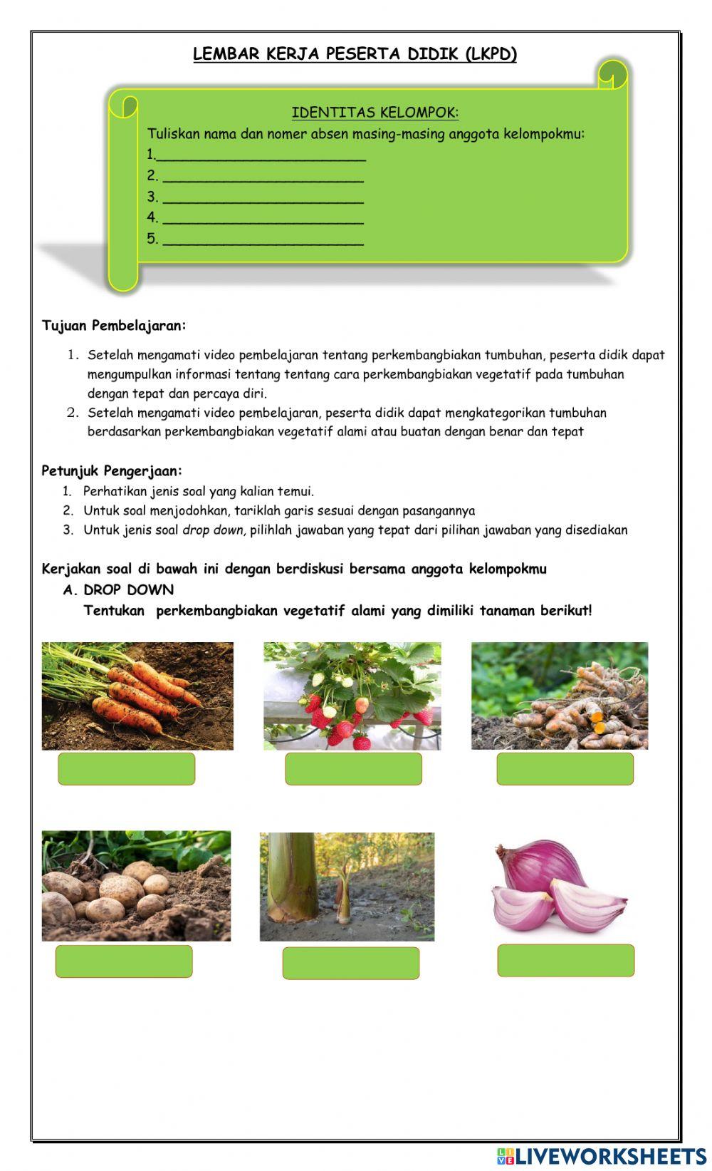 Lkpd vegetatif