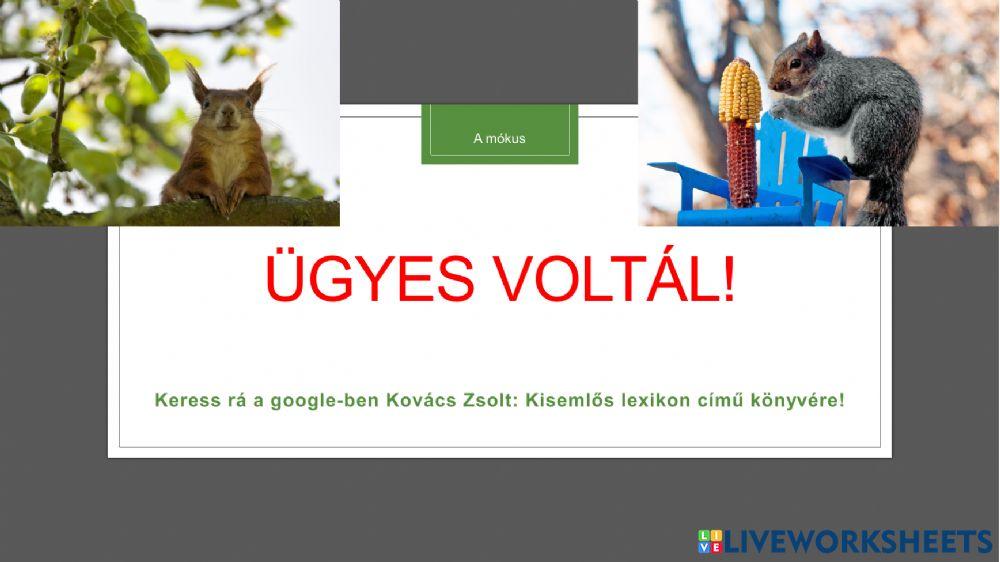 A mókus - szövegértés