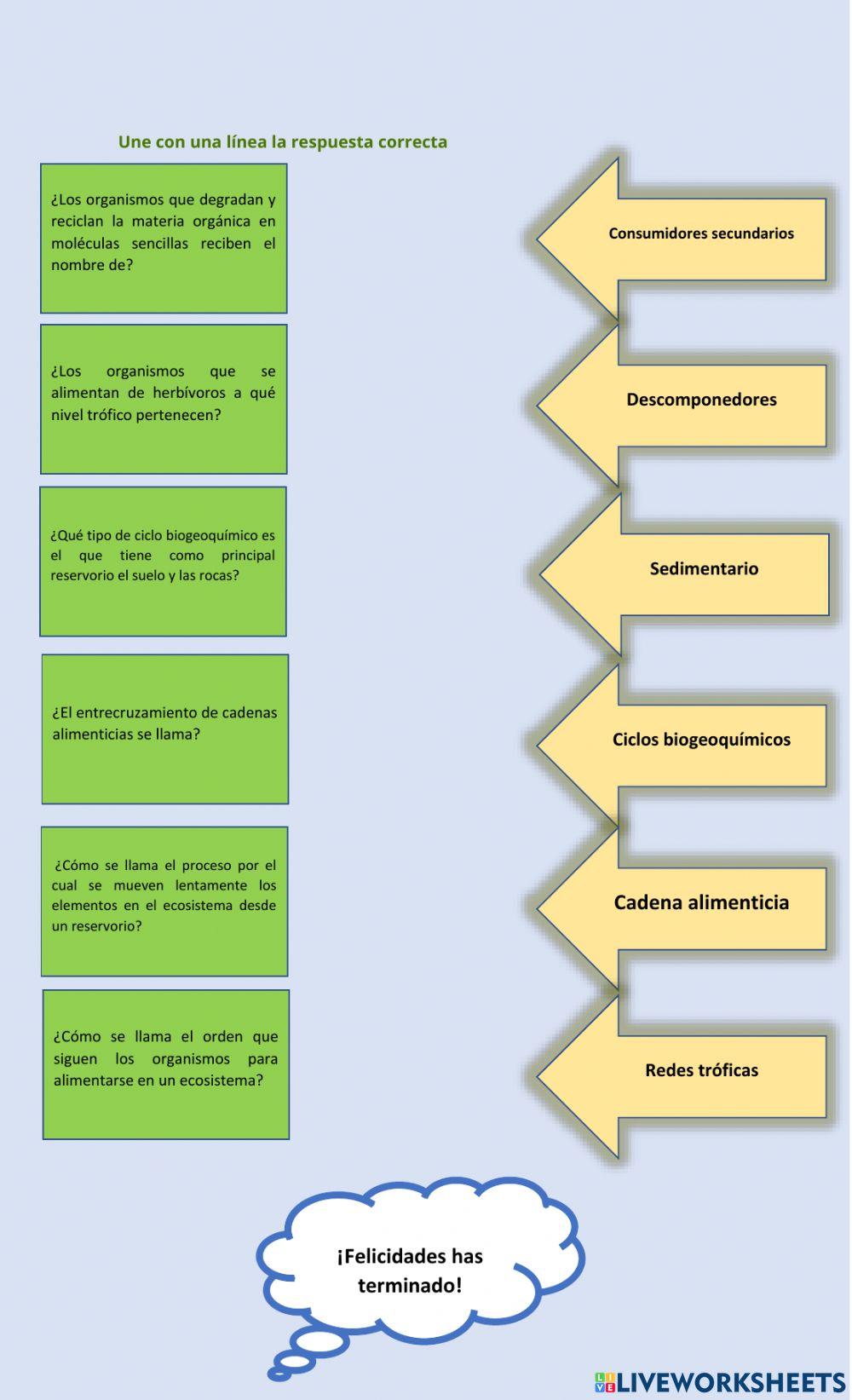 Flujo de Energía y Materia