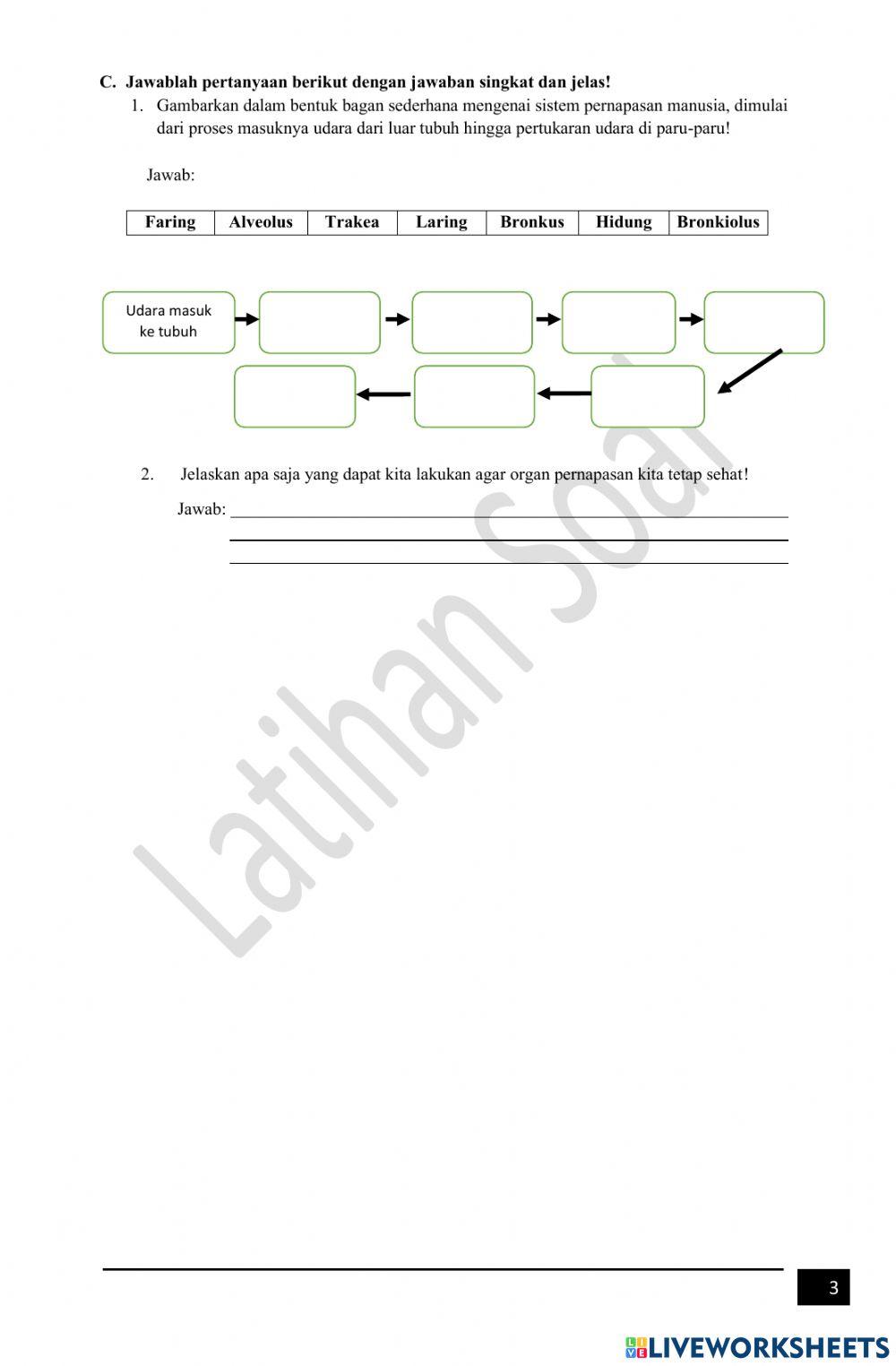 IPA KD 3.2 Tema 2 kelas 5