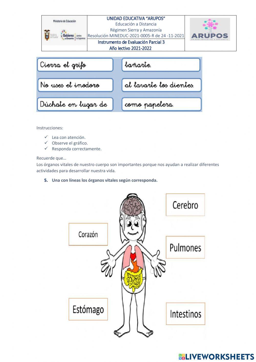 Evaluación diagnostica