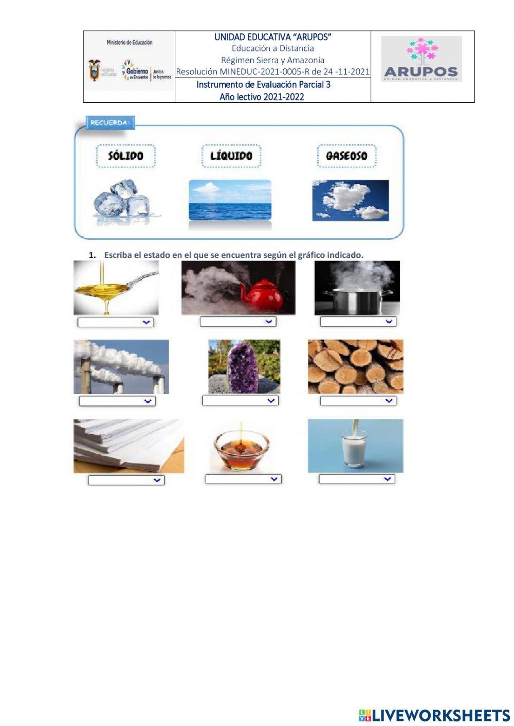 Evaluación diagnostica