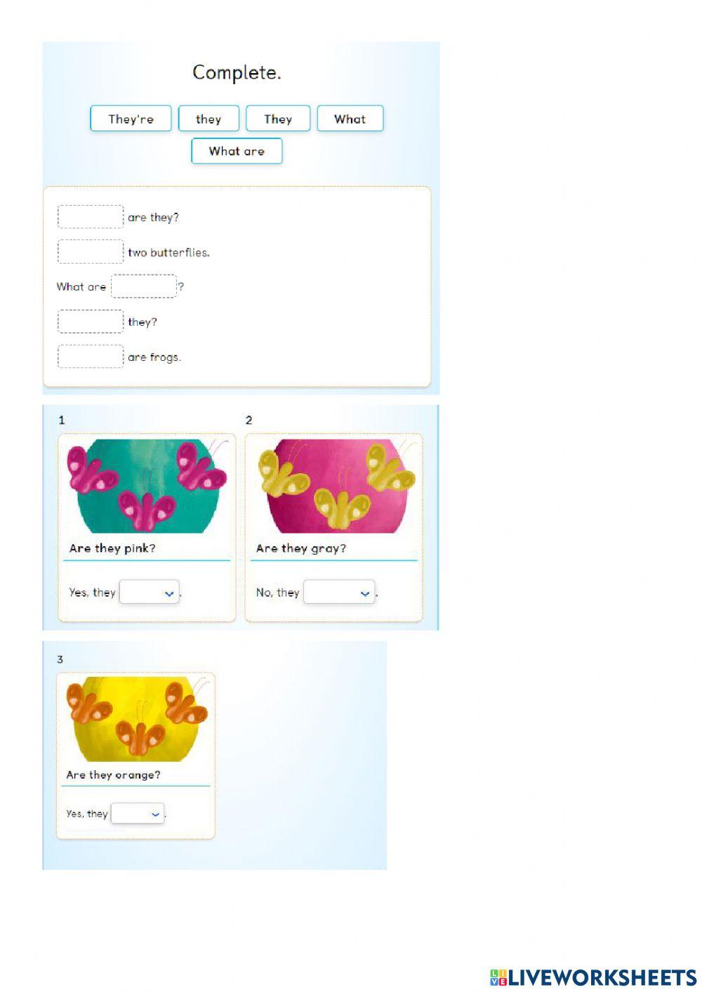 Exam unit 6 happy campers