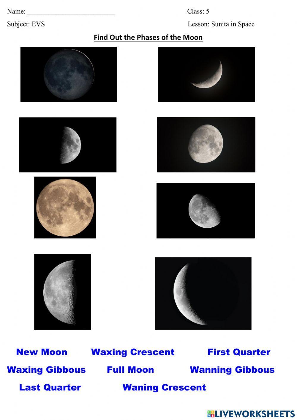 Find out the phases of the moon