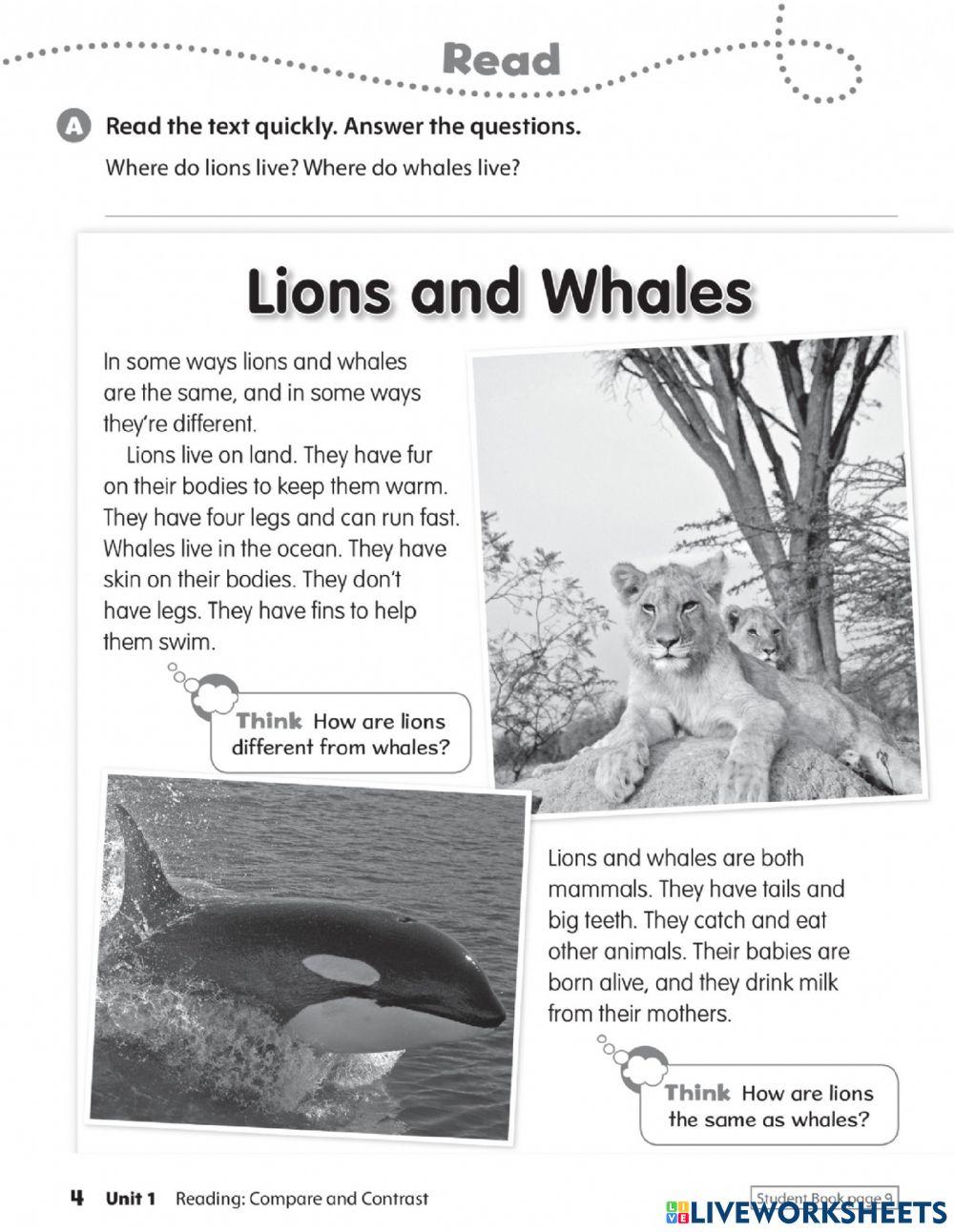 Oxford Discover 2 - unit 1 WB