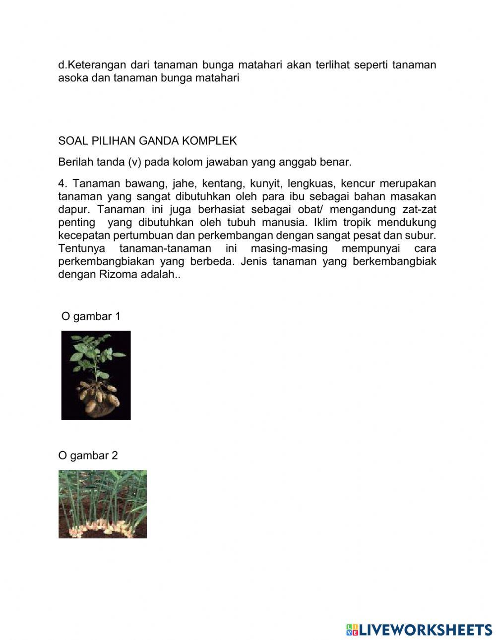 Perkembangbiakan tumbuhan