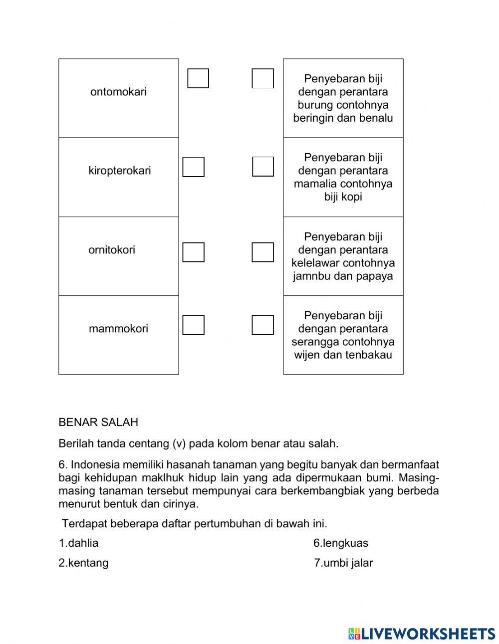 Perkembangbiakan tumbuhan
