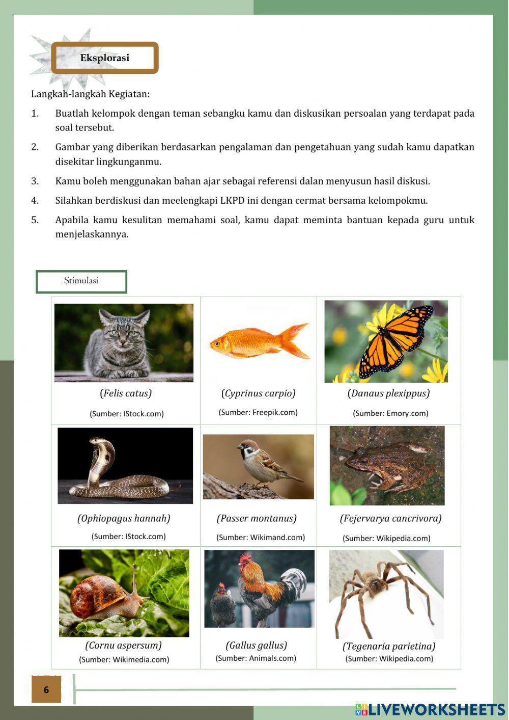 LKPD Interaktif Pertemuan 1 Part 1 Biologi Klasifikasi Makhluk Hidup