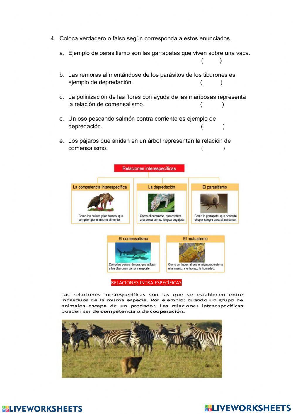 Evaluación Inicial 5º