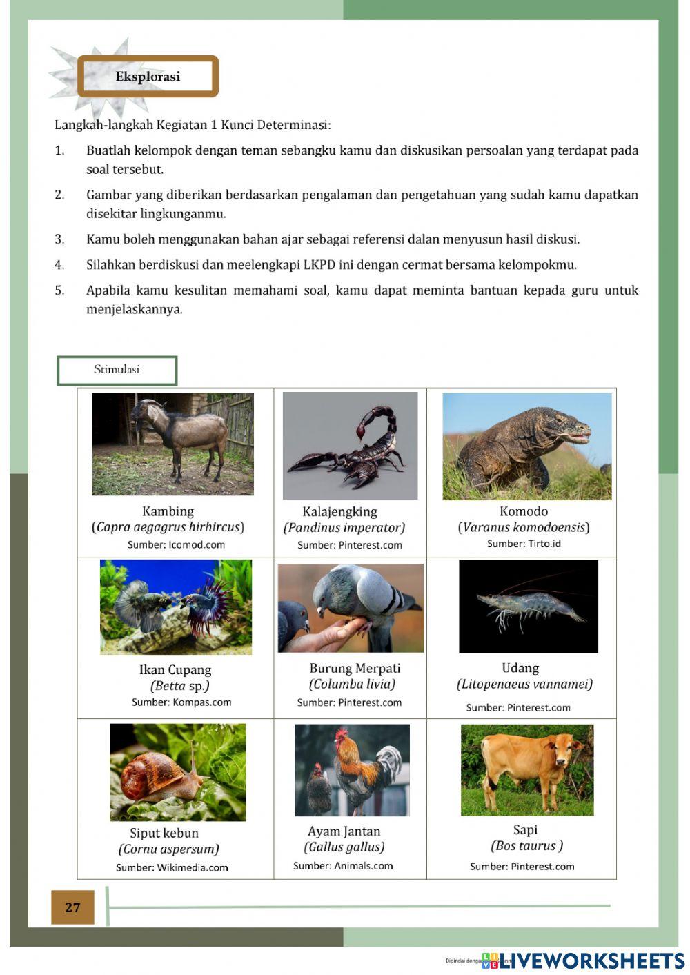 LKPD Interaktif Pertemuan 3 Biologi Klasifikasi Makhluk Hidup