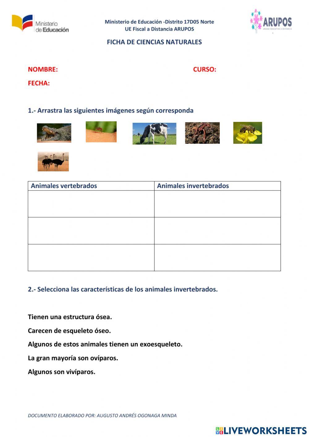 Animales Vertebrados E Invertebrados Online Exercise For 6to Live Animales Vertebrados E Invertebrados Online Exercise For 6to Live