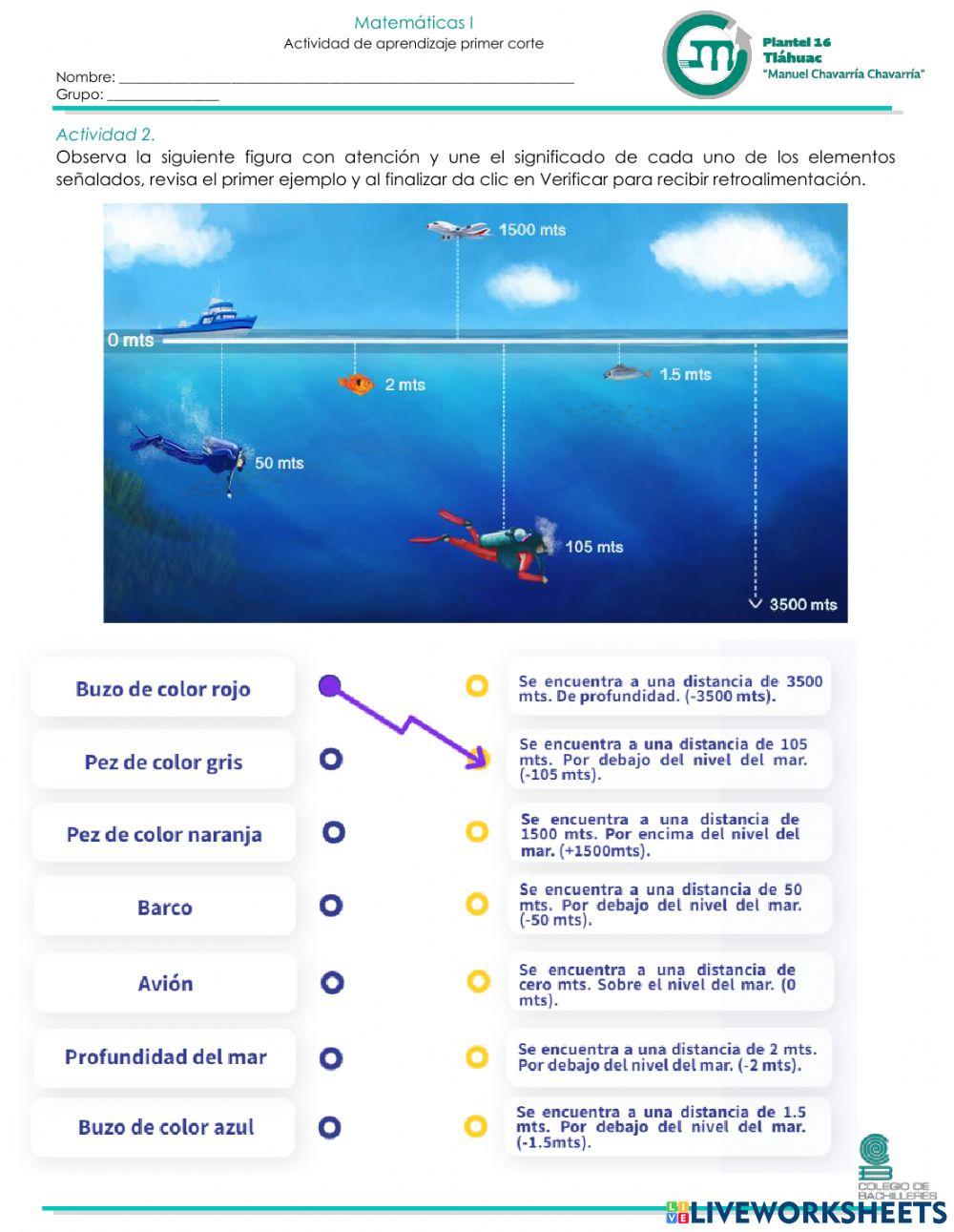 Clasificación de los números