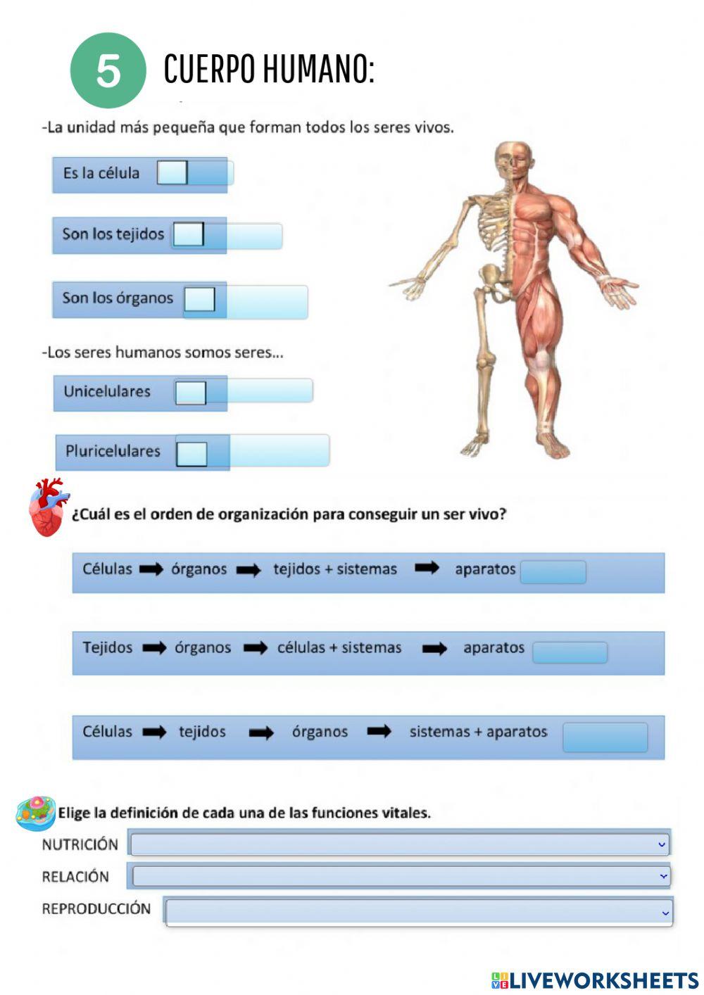 Evaluación inicial NATURALES