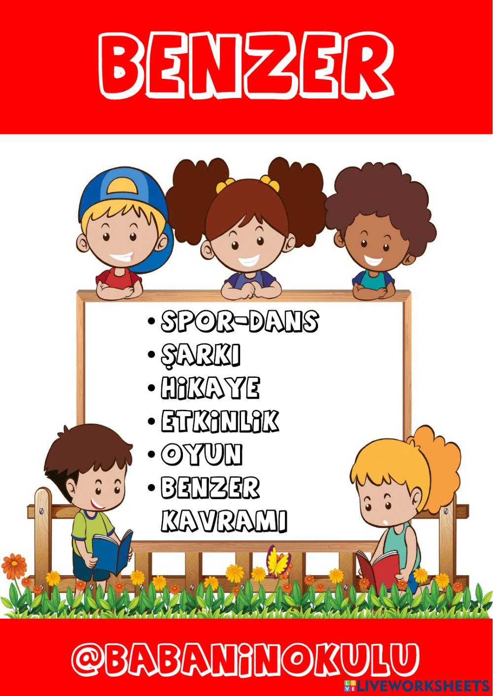 BENZER KAVRAMI