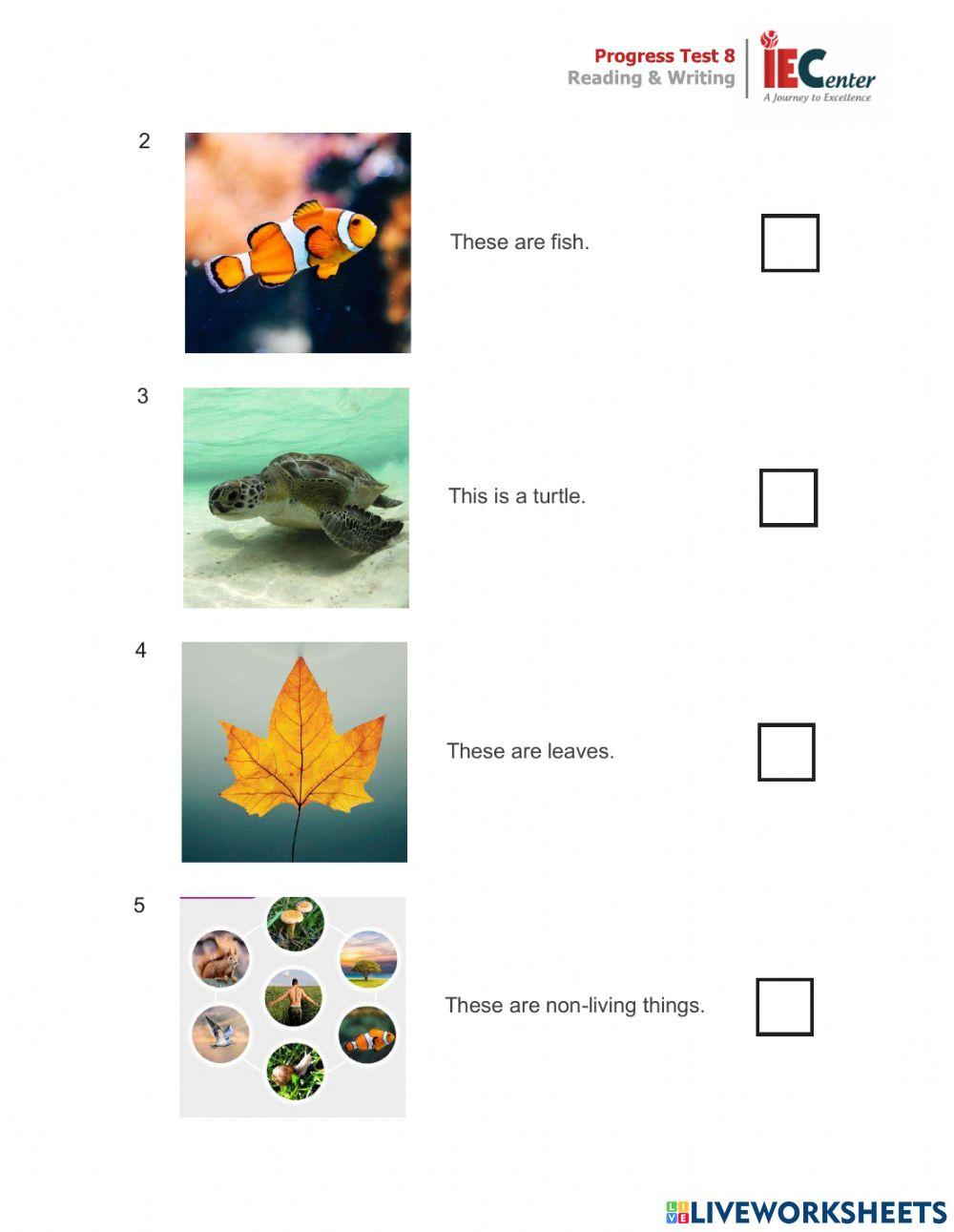 LP - CAM 1 - UNIT 8 - LESSON 12 - PROGRESS TEST 8 - READING-WRITING PART 2