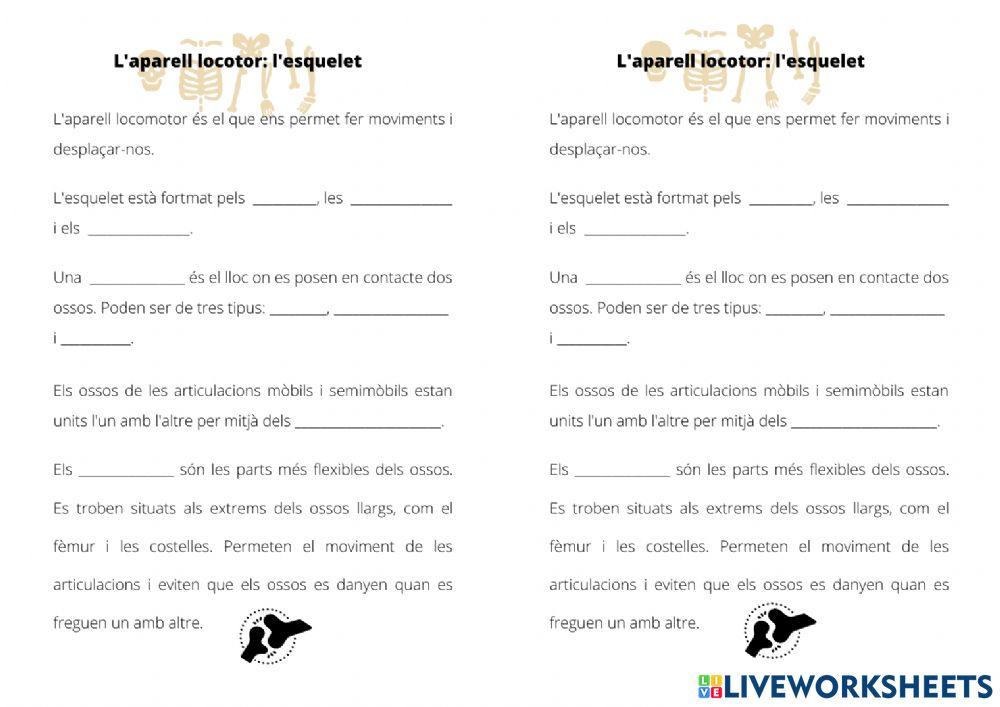Resum l'aparell locomotor