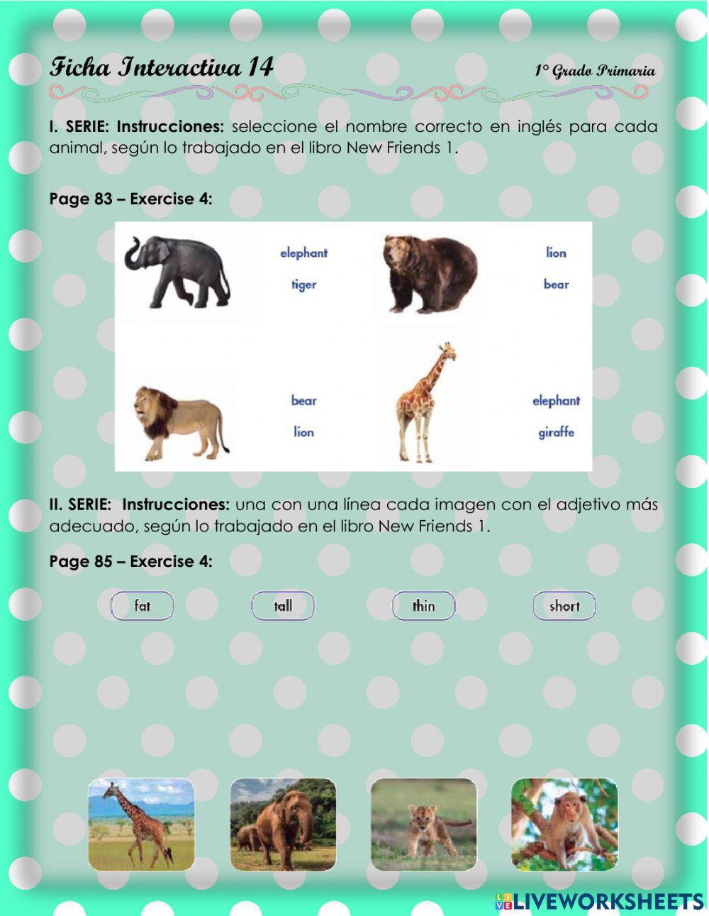 At the zoo 2 - 3.4.1°