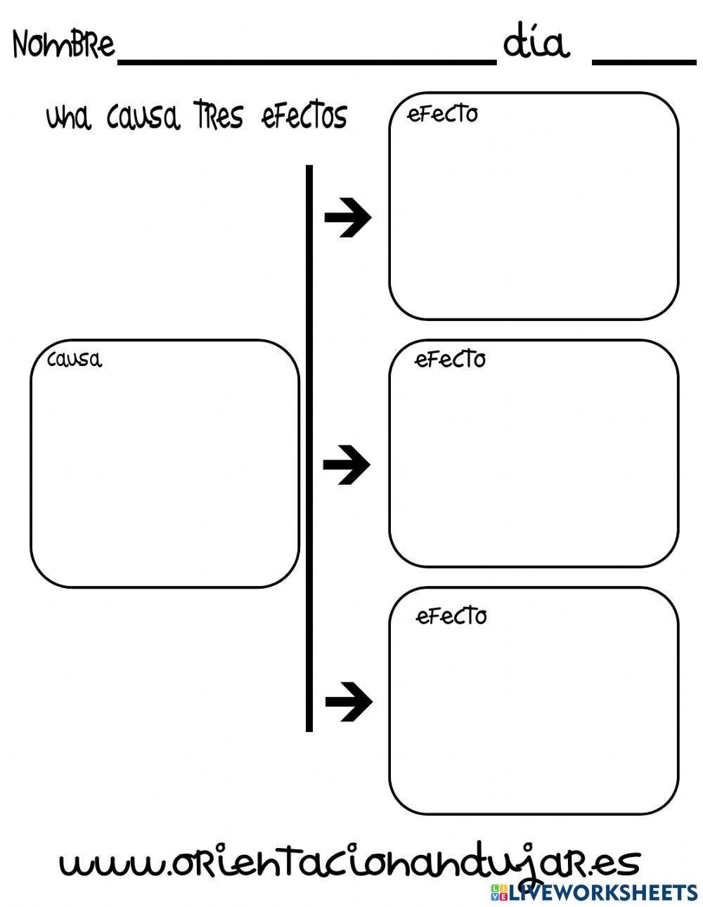Organizador gráfico