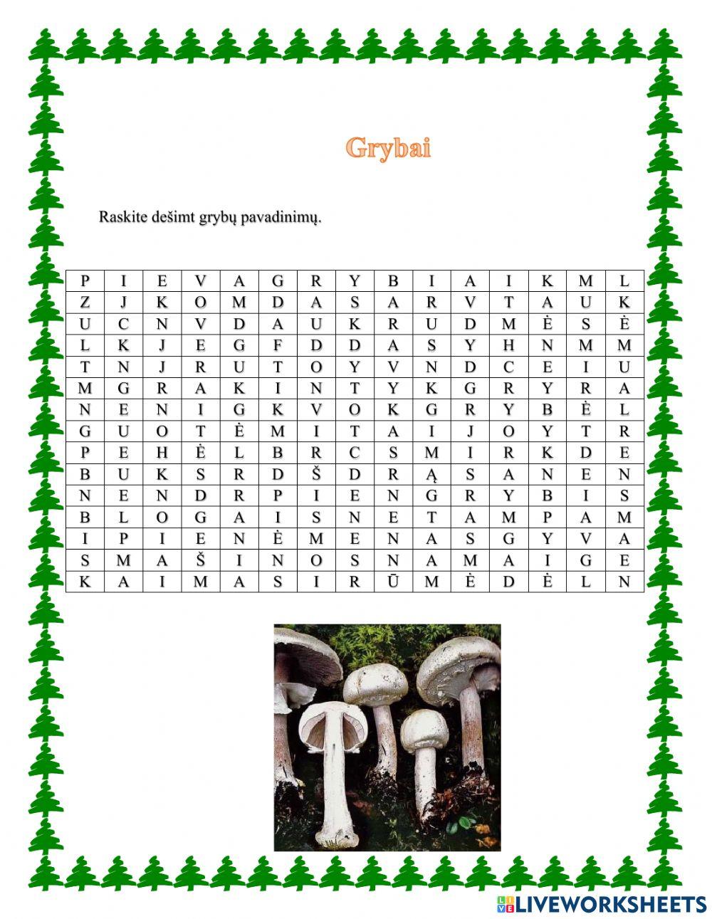 Grybai2