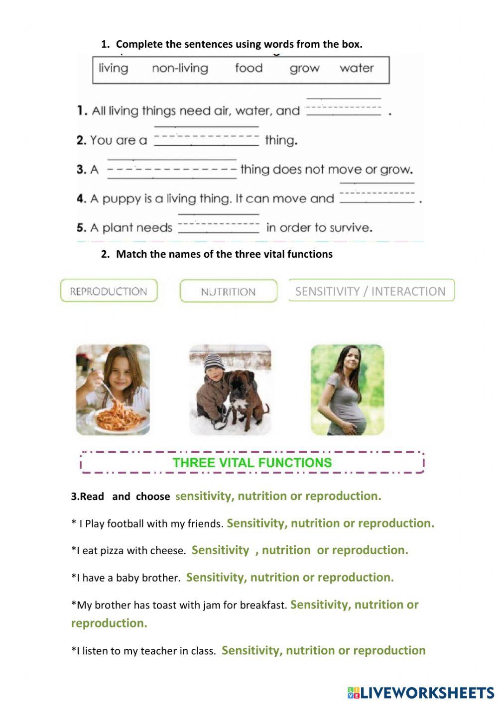 living-things-and-vital-functions-worksheet-live-worksheets