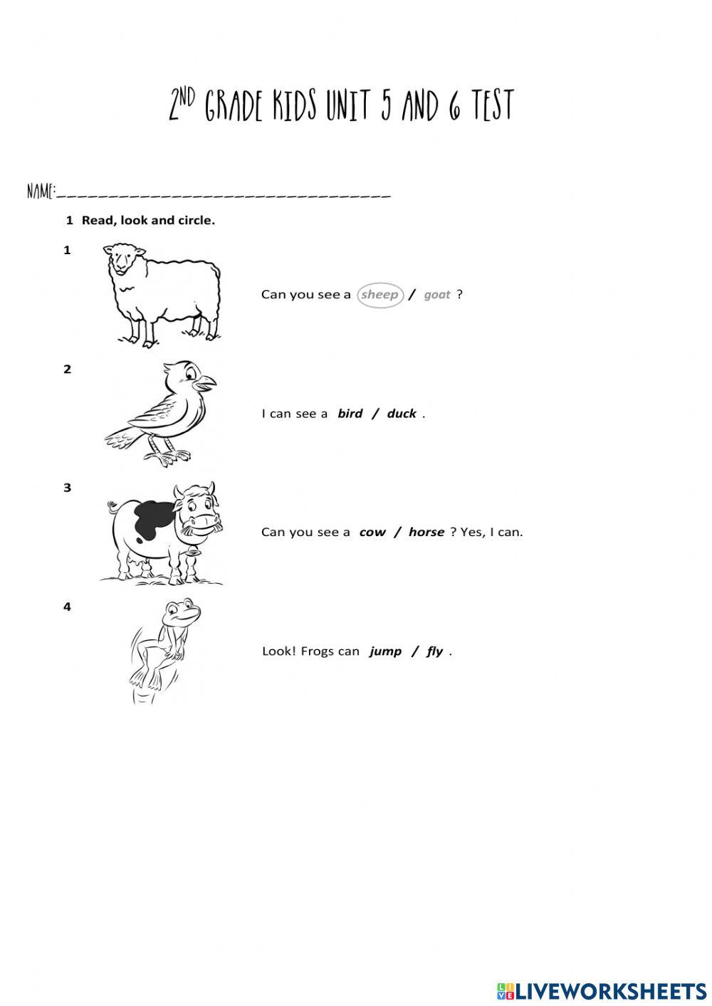 Give me 5 Unit 5 and 6