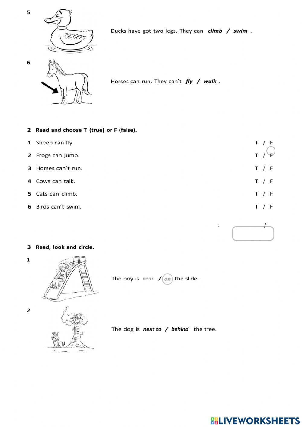Give me 5 Unit 5 and 6