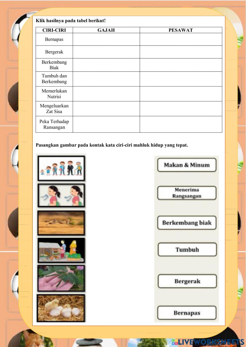 Ciri-ciri mahluk hidup