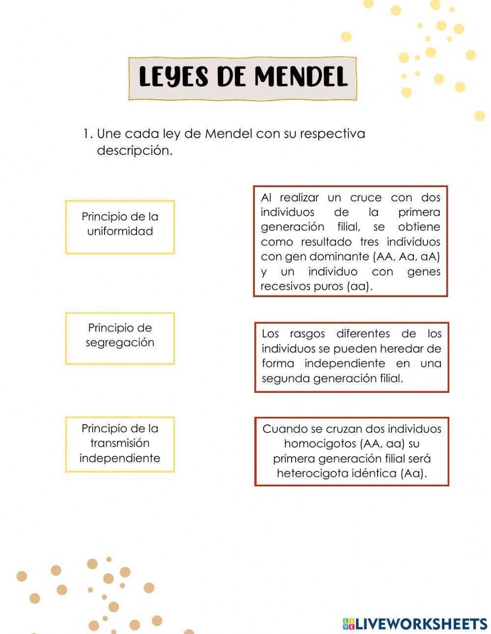 LEYES DE MENDEL