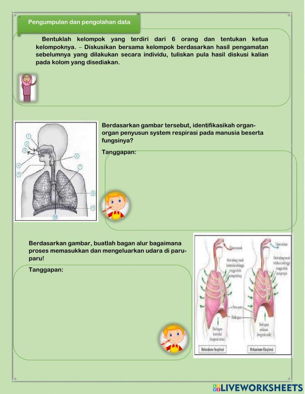 Lkpd sistem pernapasan 1