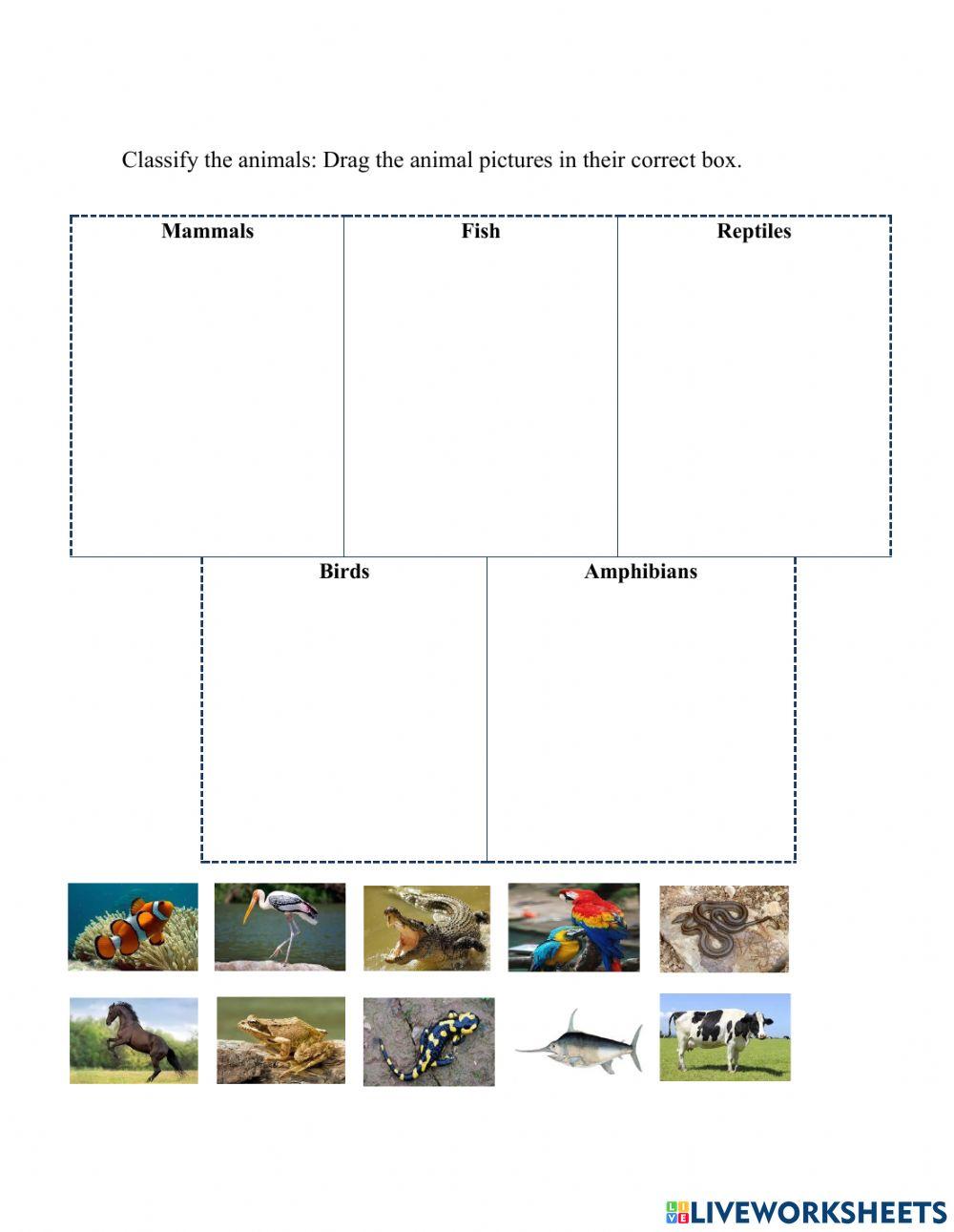Science-Sorting Animals worksheet | Live Worksheets