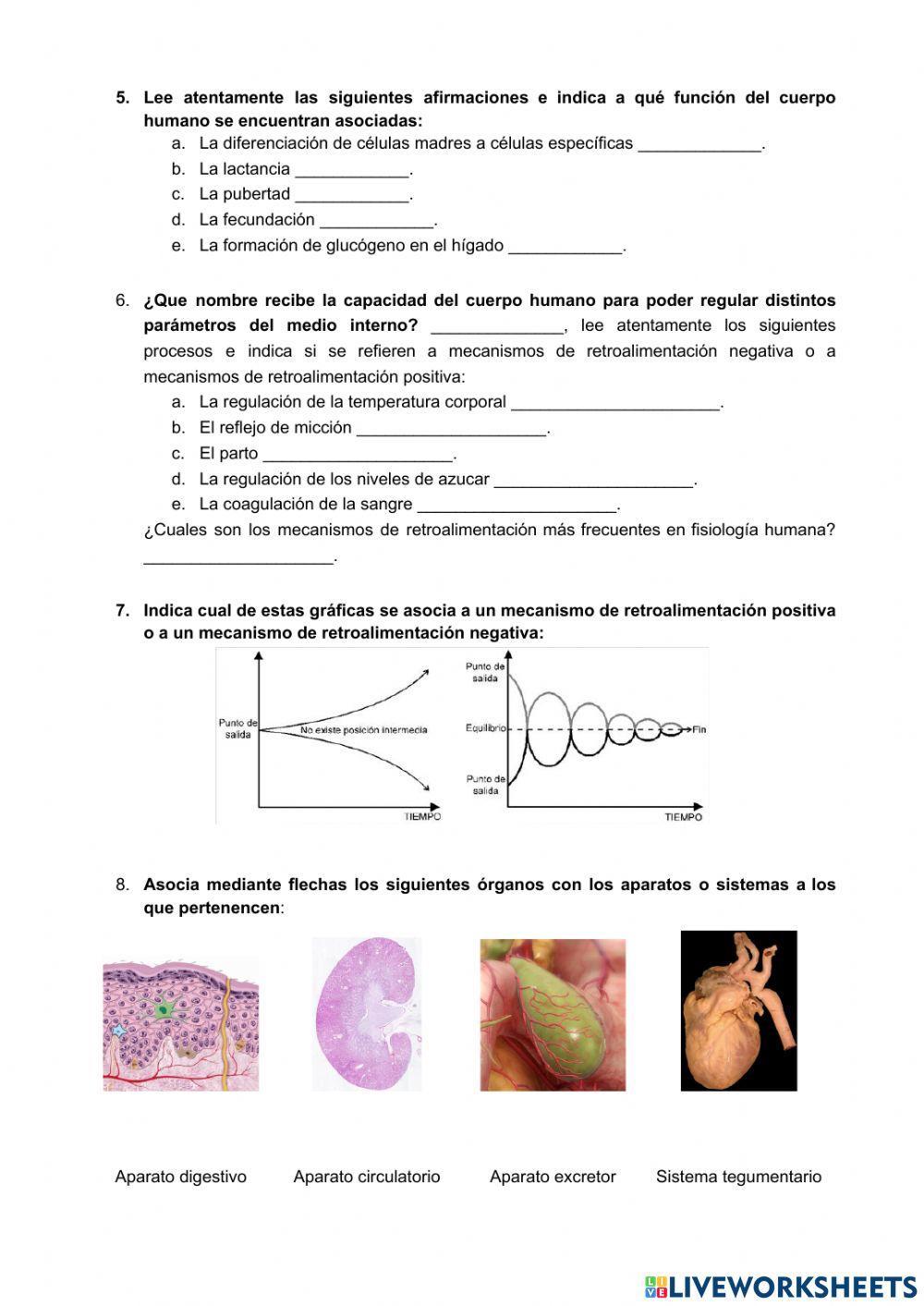 Generalidades de anatomía
