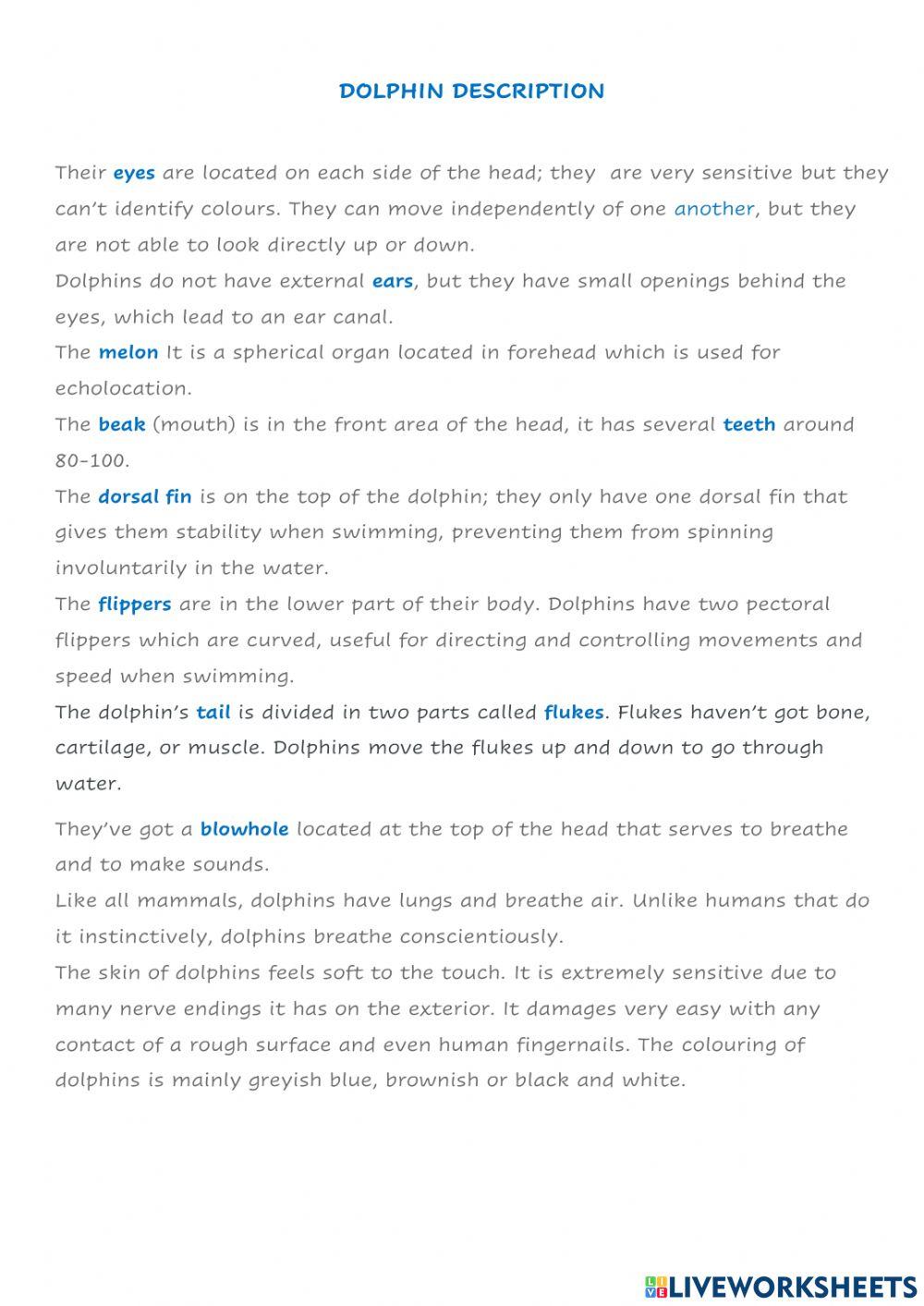 Dolphin's description