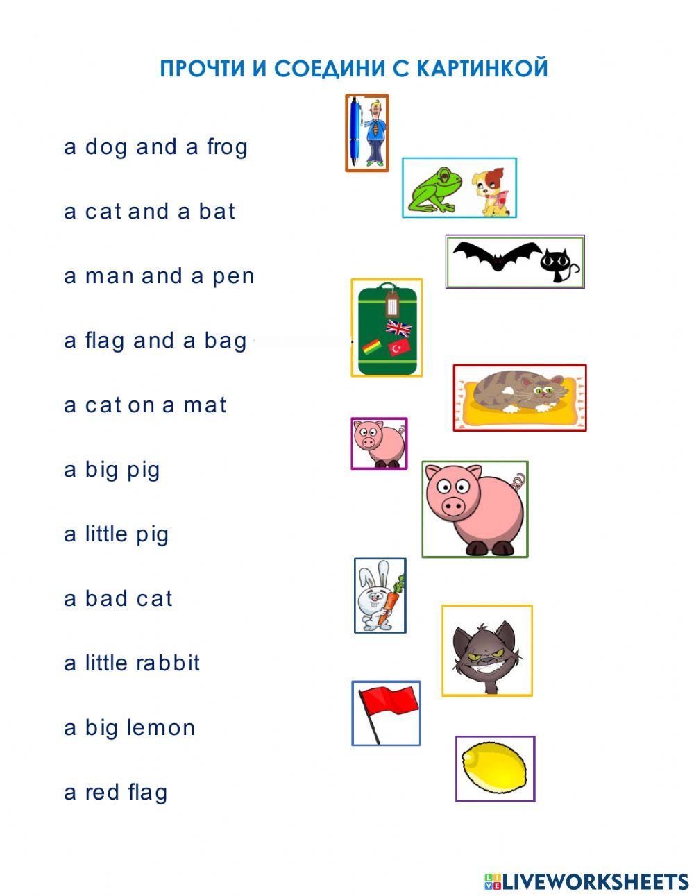 Прочти и соедини с картинкой worksheet | Live Worksheets