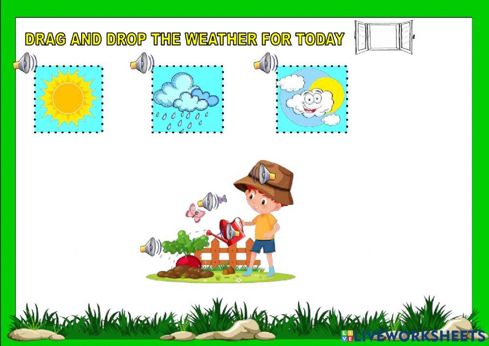 Each watering can, in its place..