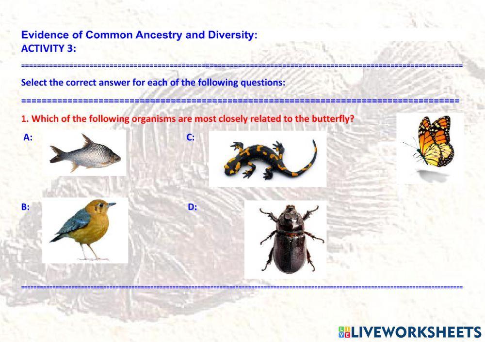 Evidence of Common Ancestry