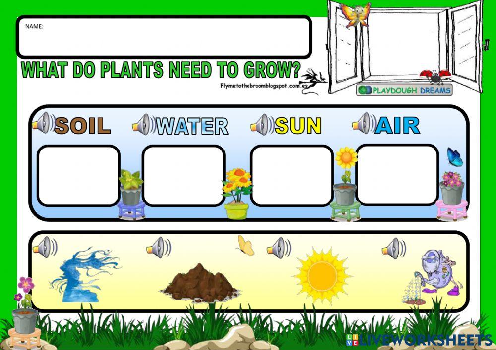 What do plants need to grow?