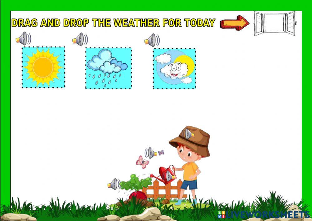 What do plants need to grow?