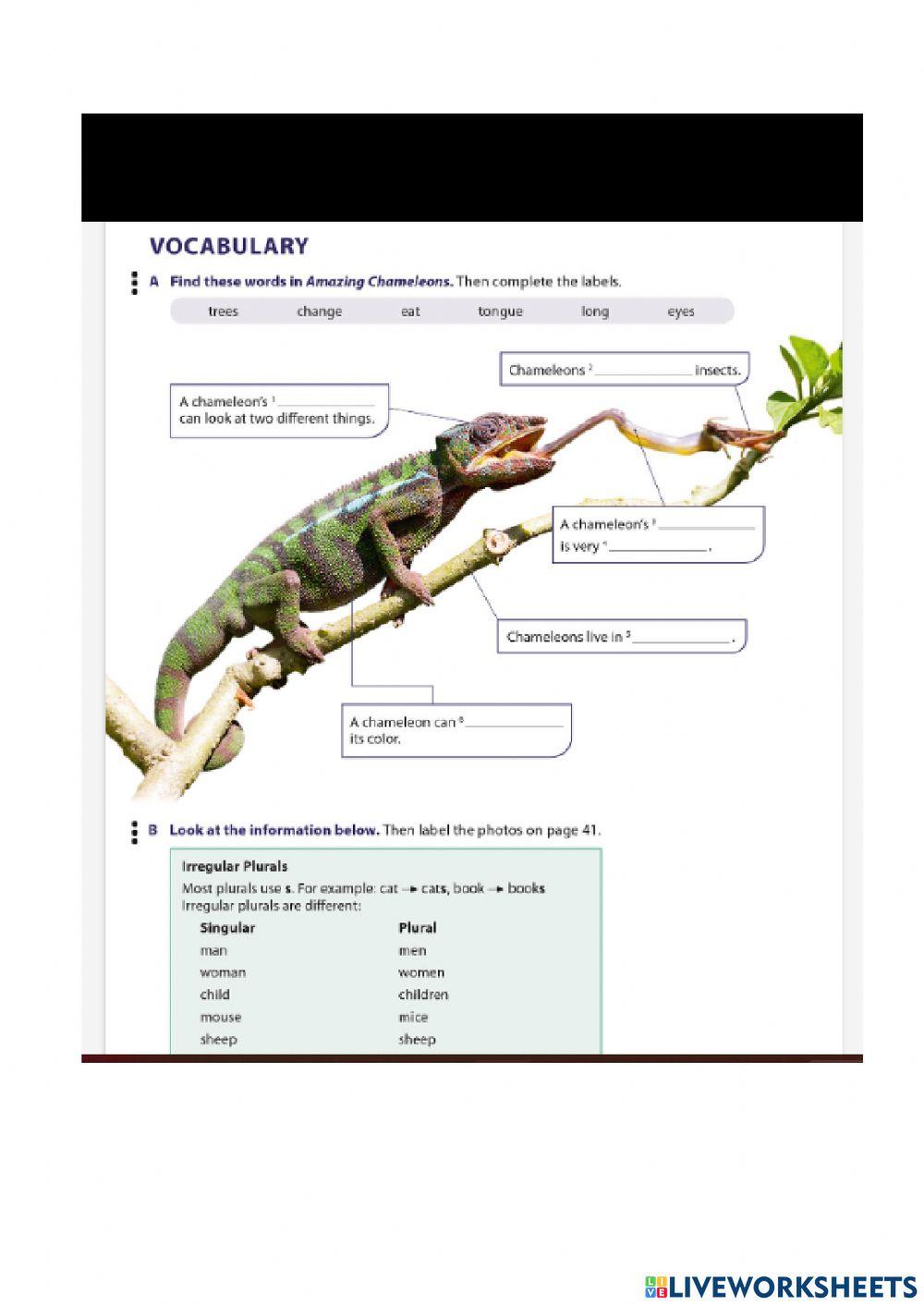 NatGeo Page 39 and 40