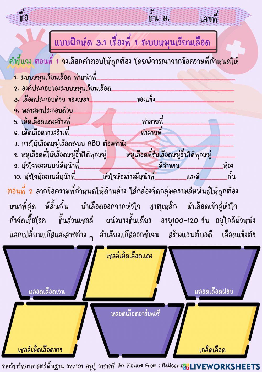 ระบบหมุนเวียนเลือด