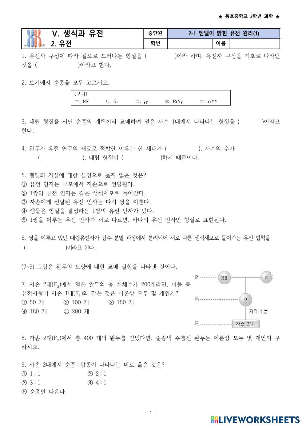 멘델의 법칙