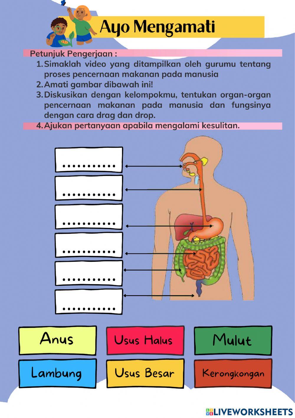 LKPD Tema 3 ST 1 PB 2 Kelas 5