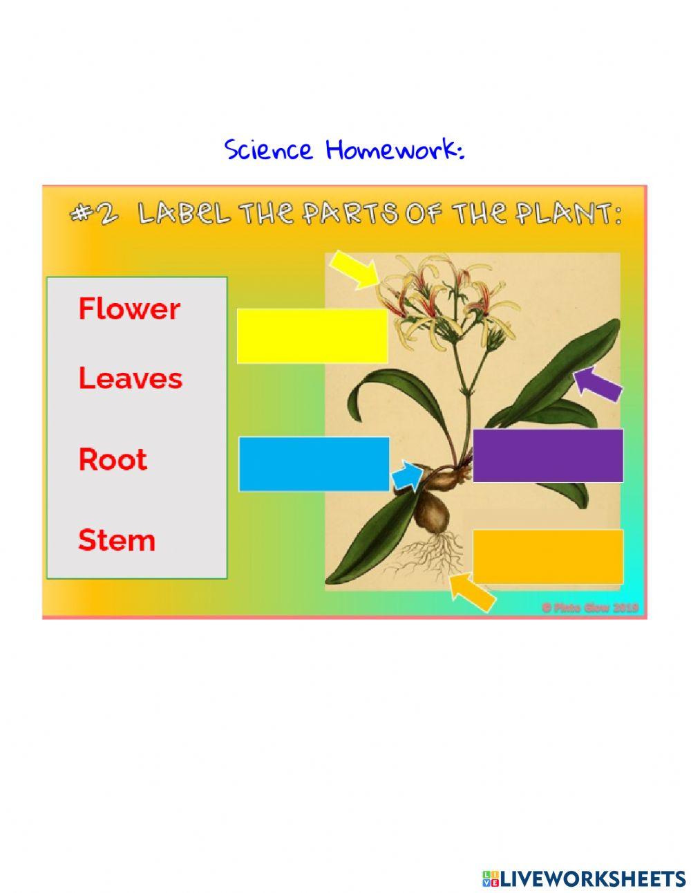 Homework Week5 Tuesday