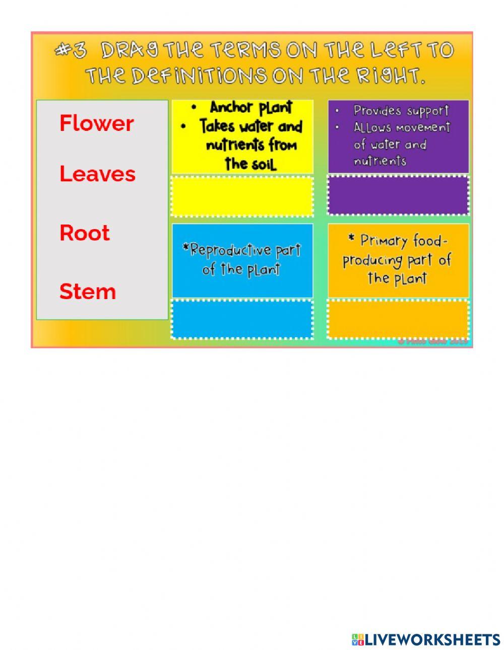 Homework Week5 Tuesday