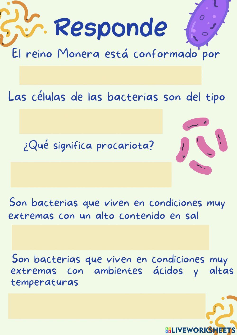 Bacterias