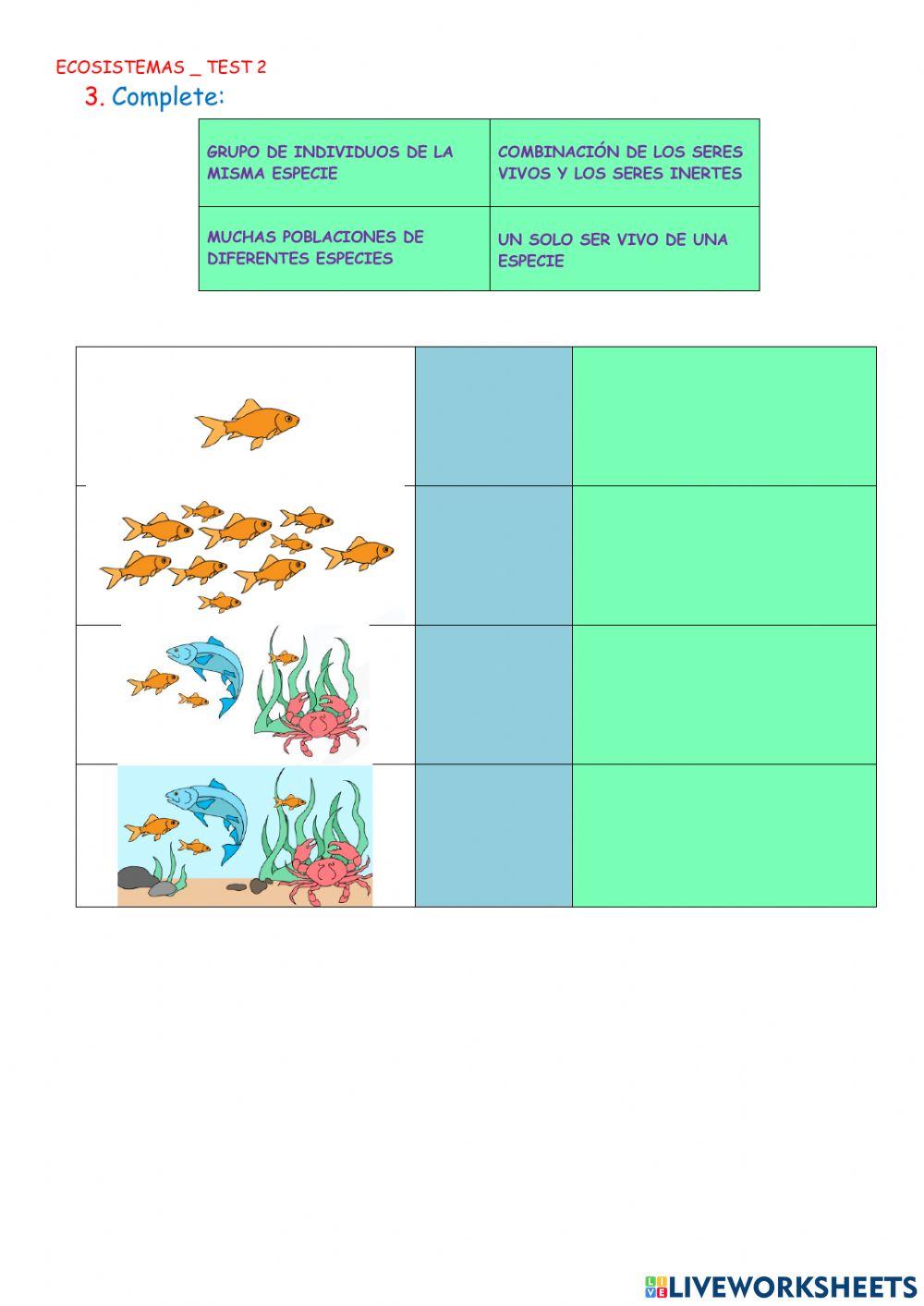 Ecosistemas Ecosistemas