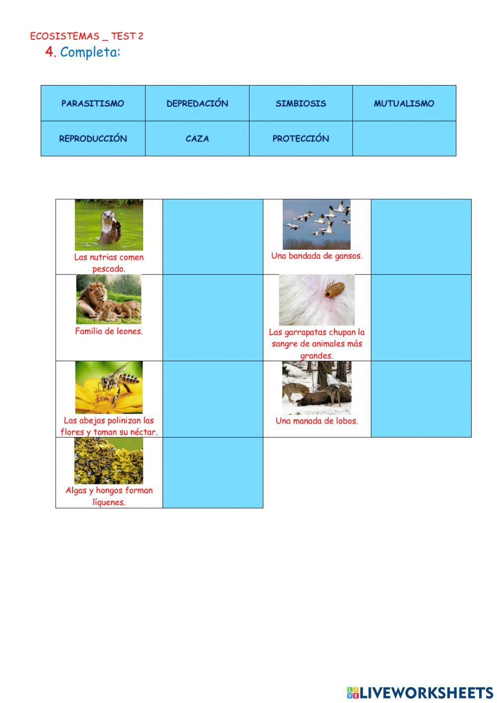 Ecosistemas Ecosistemas