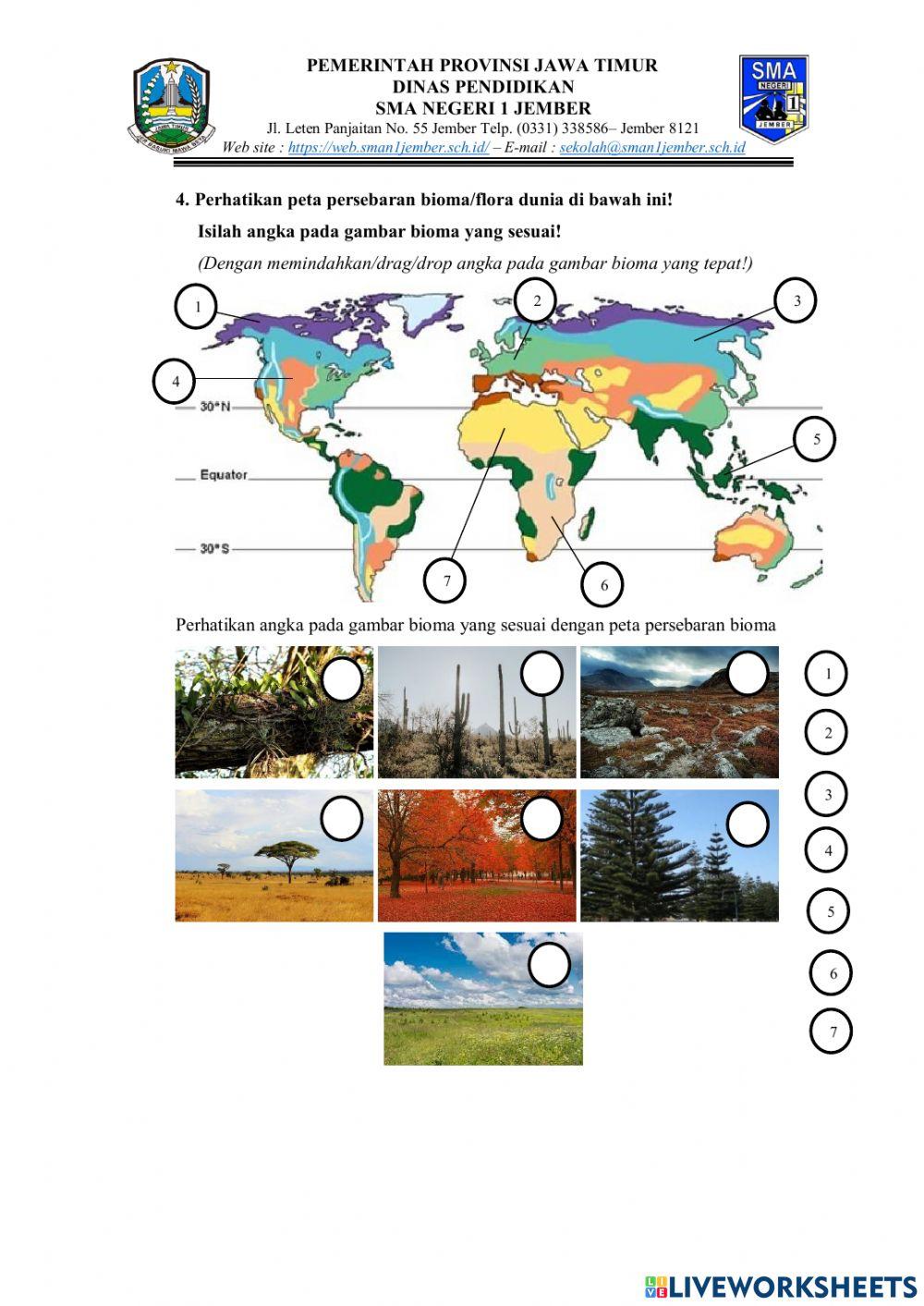 LKPD Persebaran Flora Fauna Dunia