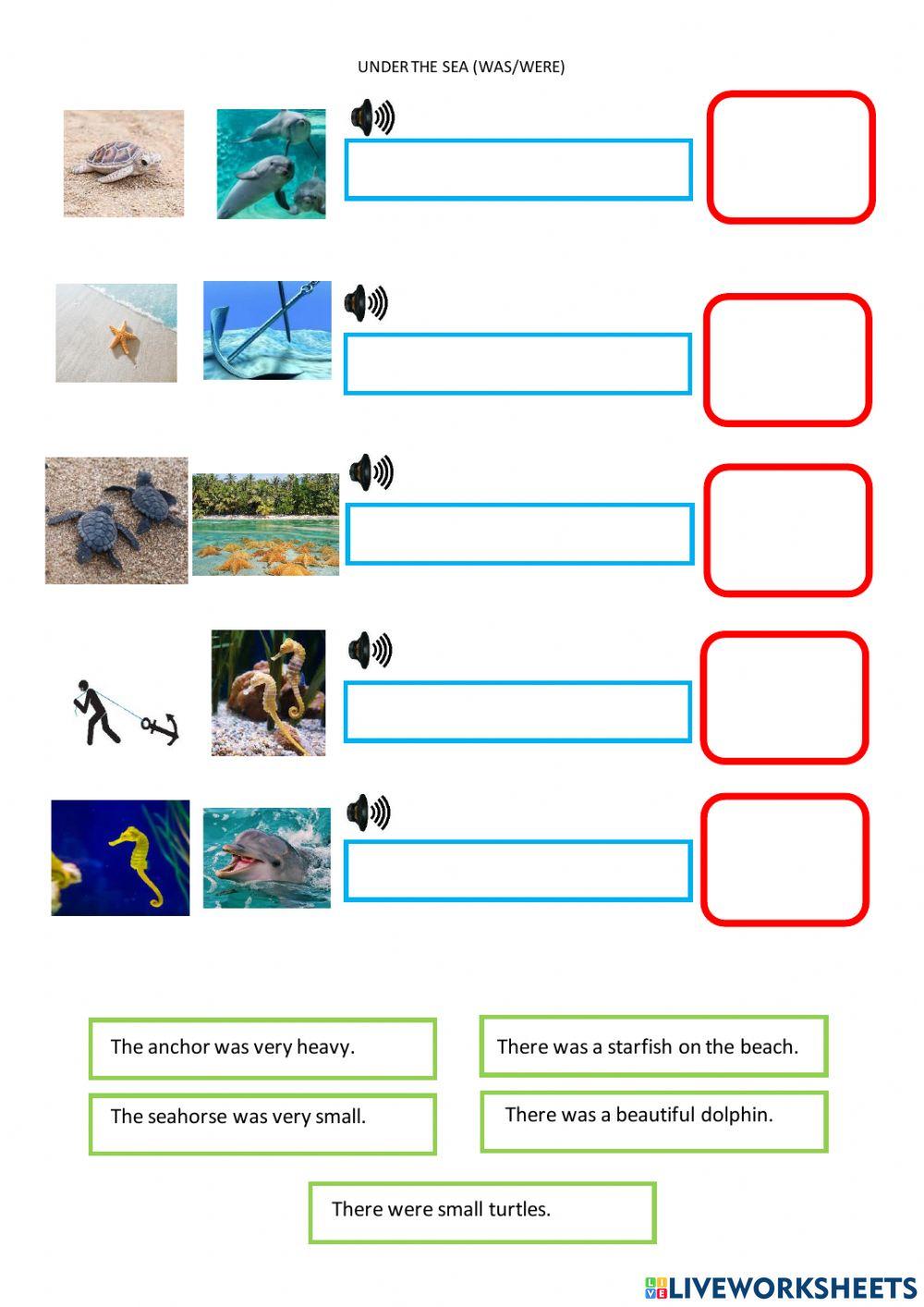 Under the sea (was-were) 1