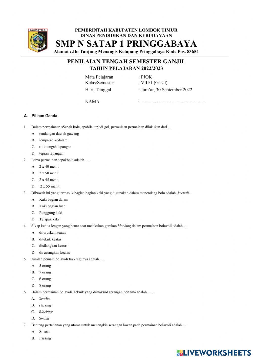 Permainan sepak bola