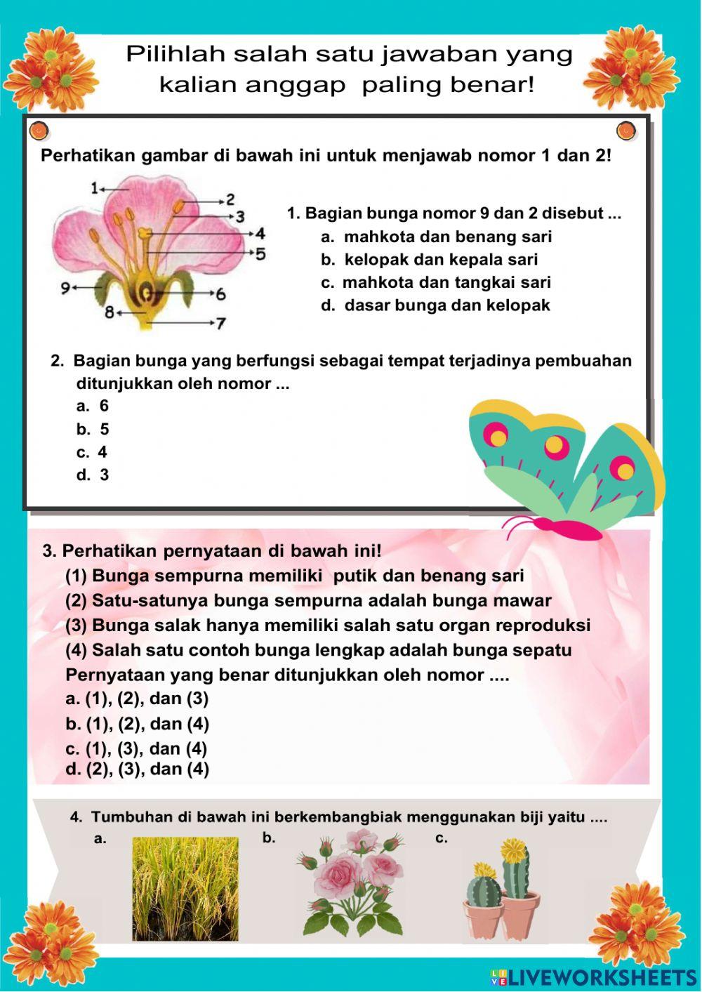 LKPD Perkembangbiakan Tumbuhan